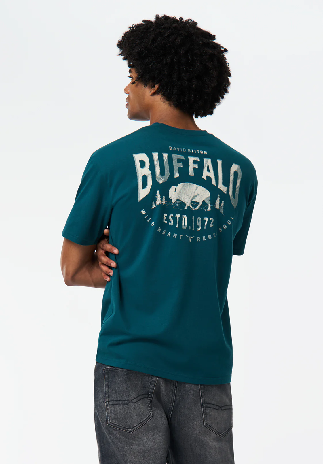 Tilden Men's Graphic T-Shirt with Buffalo and Rebel Soul Print, Deep Teal - BM24708 - Image 2